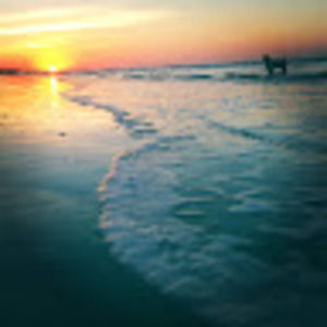 Meet your Posher, Chaunci